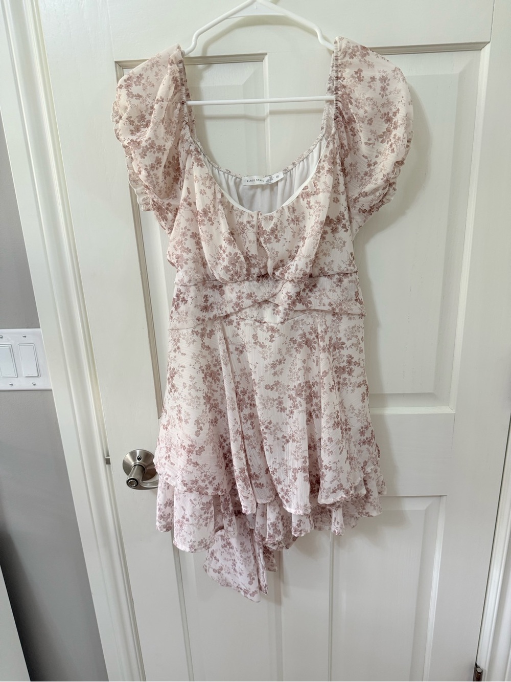 Alter’d State | Floral Ruffled Chiffon Mini Dress in Blush